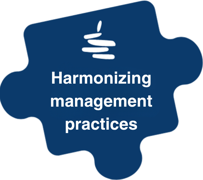 Former au management transversal (7)