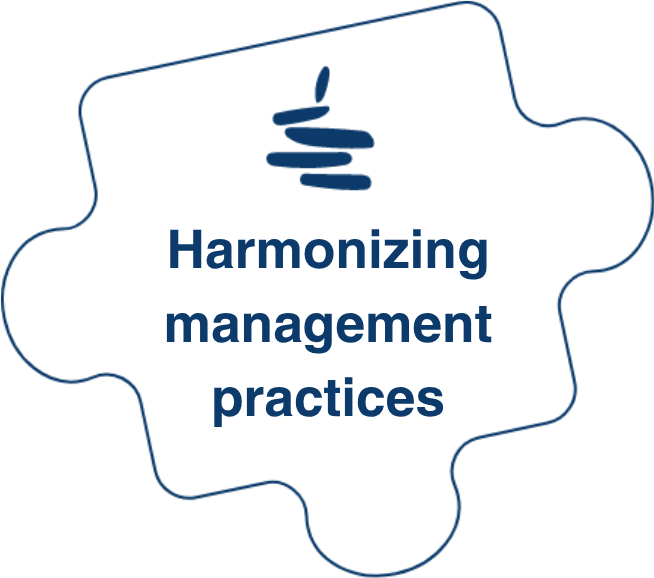 Former au management transversal (8)